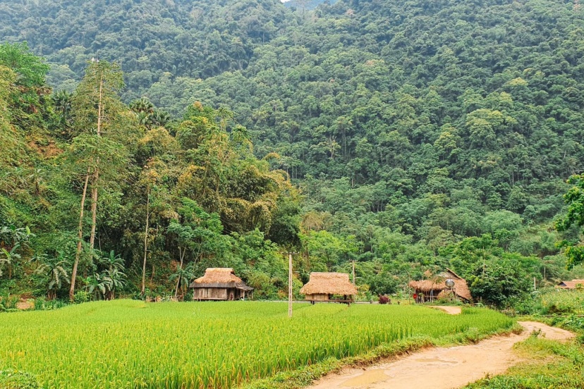 Review Một Chuyến Đi Pù Luông - Thanh Hóa Mùa Đẹp Review Một Chuyến Đi Pù Luông - Thanh Hóa Mùa Đẹp