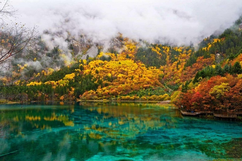 Cửu Trại Câu Mùa Nào đẹp Nhất? Gợi ý Thời điểm Lý Tưởng để Có Chuyến Du Lịch Trọn Vẹn Cửu Trại Câu Mùa Nào đẹp Nhất? Gợi ý Thời điểm Lý Tưởng để Có Chuyến Du Lịch Trọn Vẹn