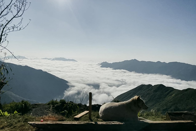 Cung Đường Săn Mây: Tà Xùa - Mộc Châu - Hang Kia Pà Cò - Mai Châu Cung Đường Săn Mây: Tà Xùa - Mộc Châu - Hang Kia Pà Cò - Mai Châu