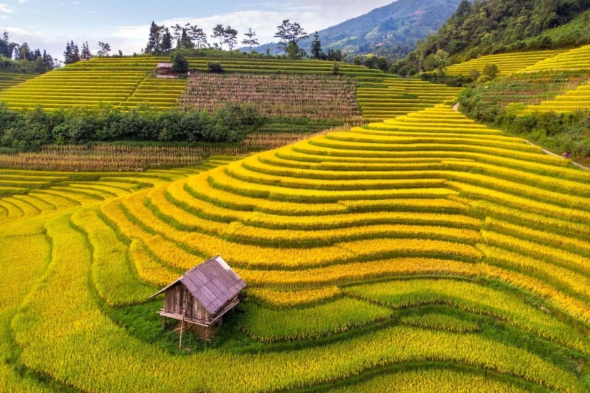Top 7 địa điểm Du Lịch Việt Nam Tháng 9 HOT Nhất 2025 Top 7 địa điểm Du Lịch Việt Nam Tháng 9 HOT Nhất 2025