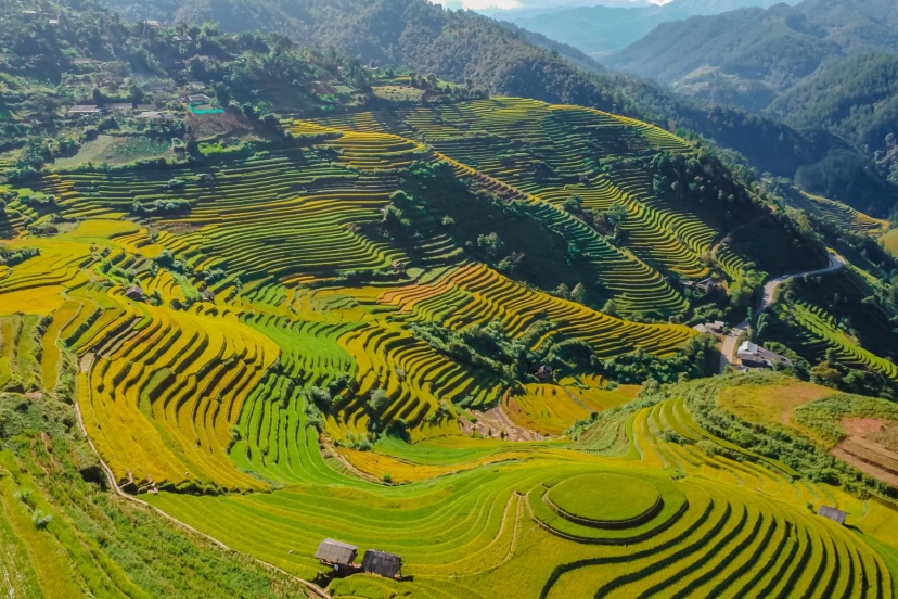 Lịch Trình Vi Vu Núi Rừng Yên Bái 2N1Đ Đẹp Say Lòng Người Lịch Trình Vi Vu Núi Rừng Yên Bái 2N1Đ Đẹp Say Lòng Người