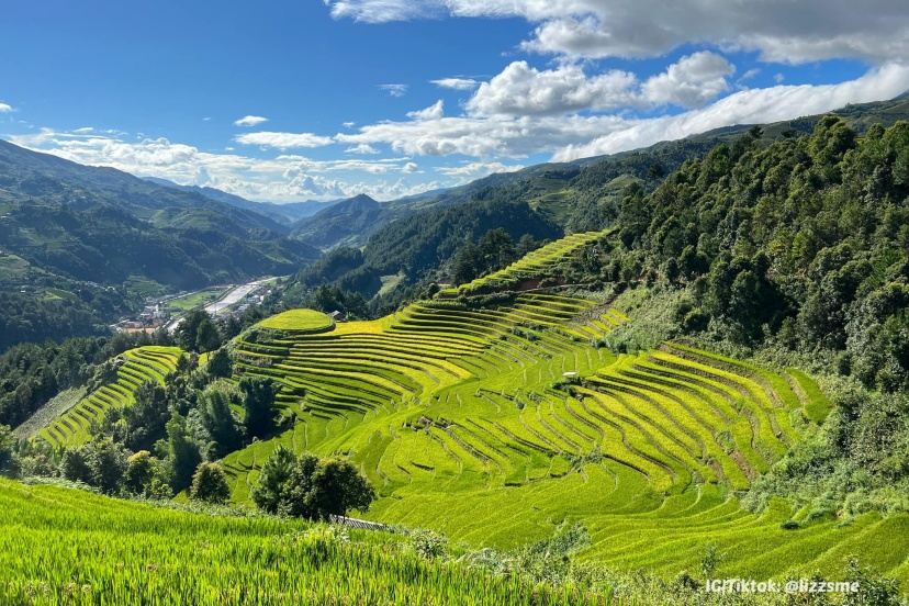 LẦN ĐẦU SĂN LÚA Ở MÙ CANG CHẢI | LỊCH TRÌNH 3N2Đ LẦN ĐẦU SĂN LÚA Ở MÙ CANG CHẢI | LỊCH TRÌNH 3N2Đ