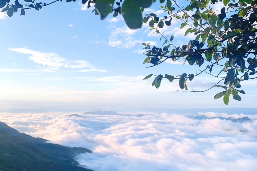 Lần Đầu Lên Tà Xùa Bắt Trọn Biển Mây Và Hoàng Hôn Lần Đầu Lên Tà Xùa Bắt Trọn Biển Mây Và Hoàng Hôn