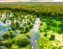 Vẻ đẹp bình dị của Rừng tràm Trà Sư mùa nước nổi