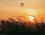 Côn Đảo - hoàng hôn rơi