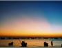 Vũng Tàu mùa hoàng hôn có thể đẹp đến độ nào?