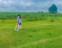 Có một điểm check-in “tựa Đà Lạt” thơ mộng tại thành phố Bắc Ninh