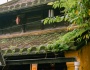 Hiếm có một thành phố nào tại Việt Nam