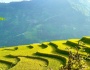 Ghé thăm Hà Giang mùa lúa chín - một vẻ đẹp ngây ngất lòng người