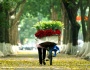 Thu Hà Nội, mùa đi ngang phố thật trữ tình
