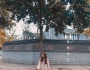 Bức tường Hàn Quốc gây sốt giới trẻ Hà Thành ở đâu⁉️