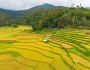 Cánh đồng ruộng bậc thang đẹp như tranh vẽ ở Kon Tu Rằng