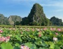 Check in đầm sen Hang Múa - Ninh Bình