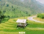 NẬM CANG (SAPA) - MÙA LÚA CHÍN