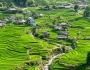 Mùa lúa trên bản Tả Van, đẹp như bức tranh