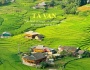 Sapa bước vào đầu tháng 8 với một màu xanh mướt