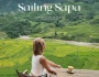 Vi vu Sapa lần này lạ lắm!