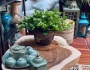 Làng gốm Hương Canh
