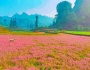 Bắc Hà (Yên Bái) | Có một góc nhỏ như thế...