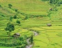 Mù Cang Chải mùa đẹp nhất