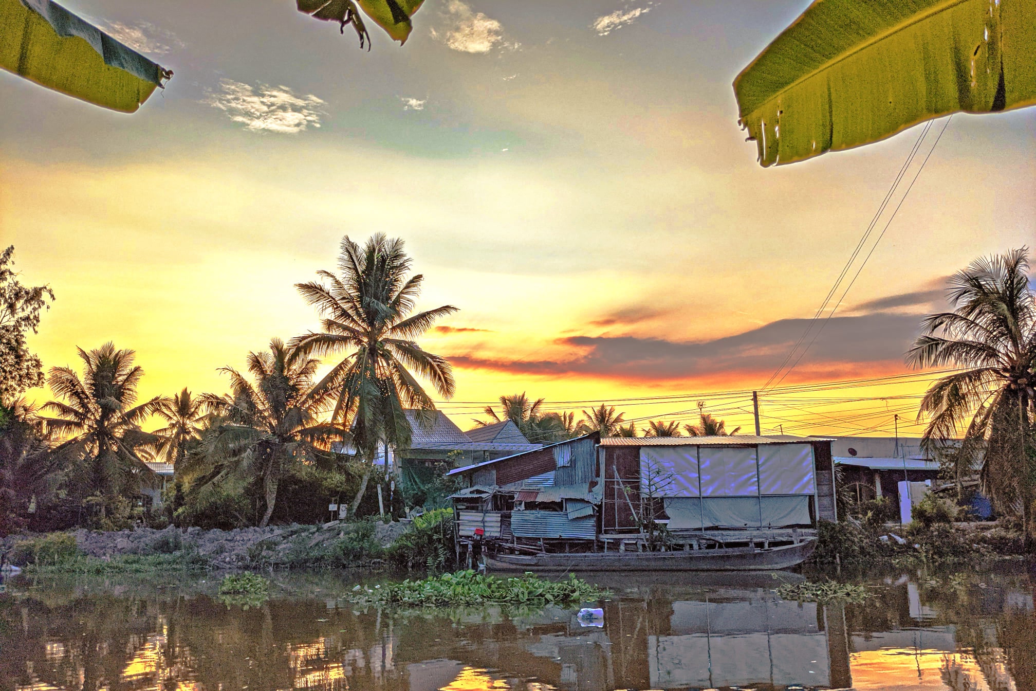 Nền Cây Dừa Phản Chiếu Mùa Hè Dưới Bầu Trời đỏ Hình Nền Cho Tải Về Miễn Phí  - Pngtree